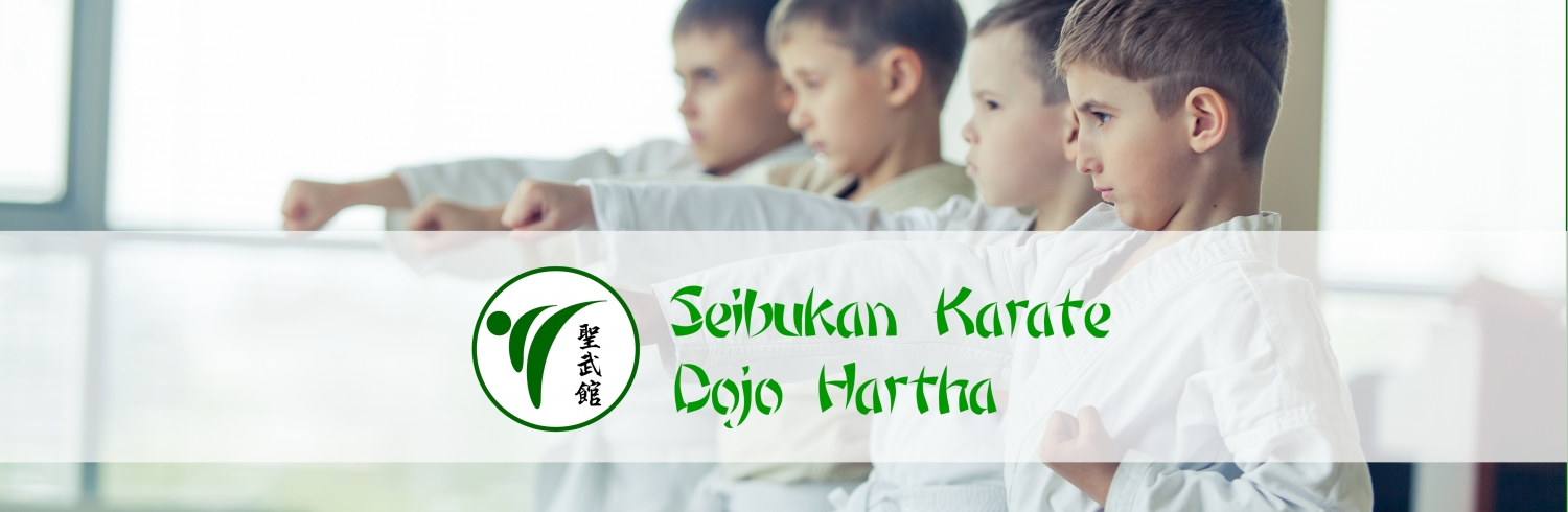 Seibukan Karate Dojo Hartha